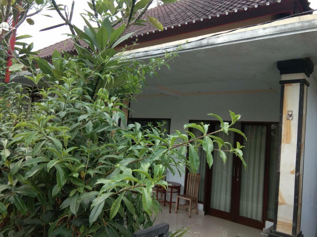 The Wina Echo Beach Guest House Canggu  Exterior photo